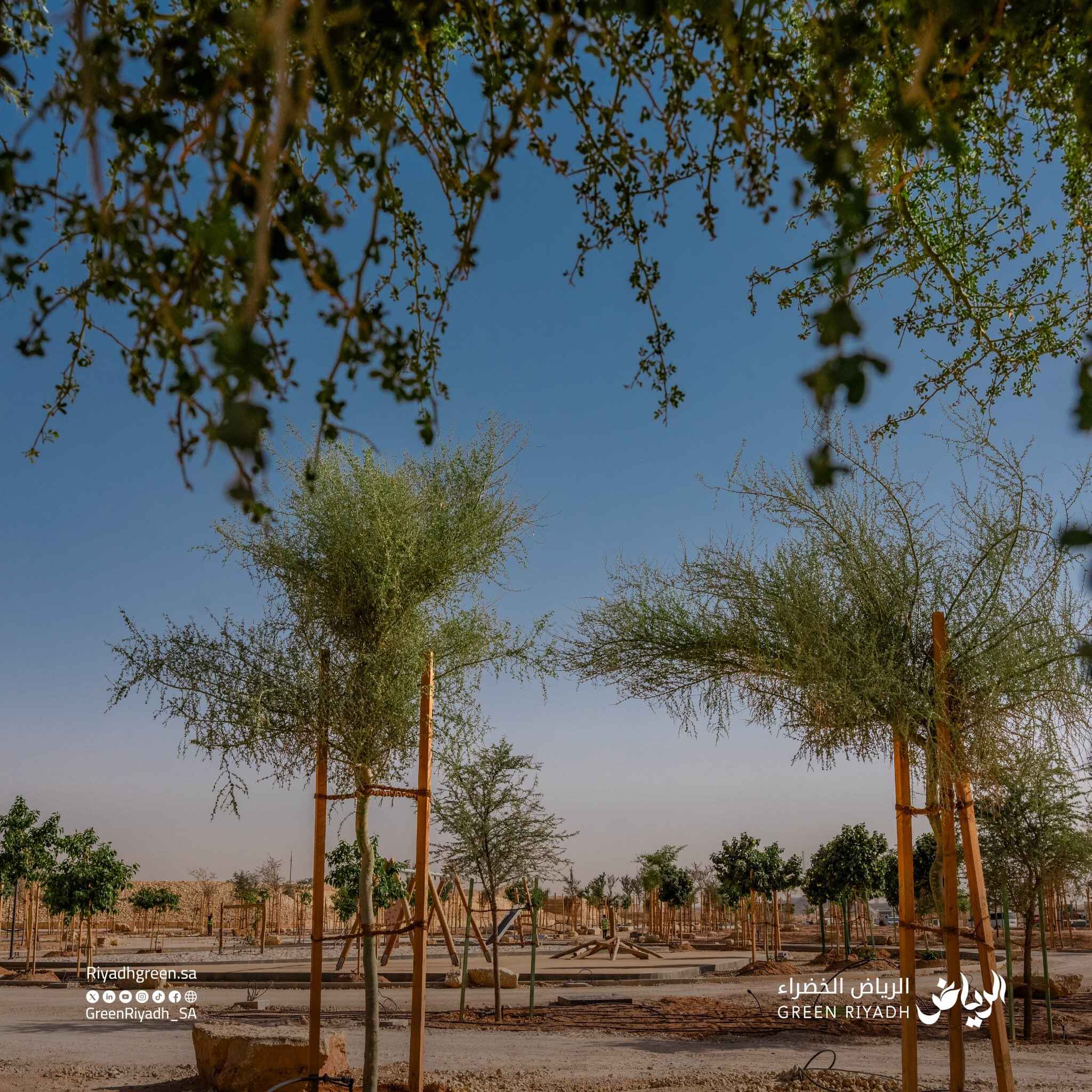 Green Riyadh program