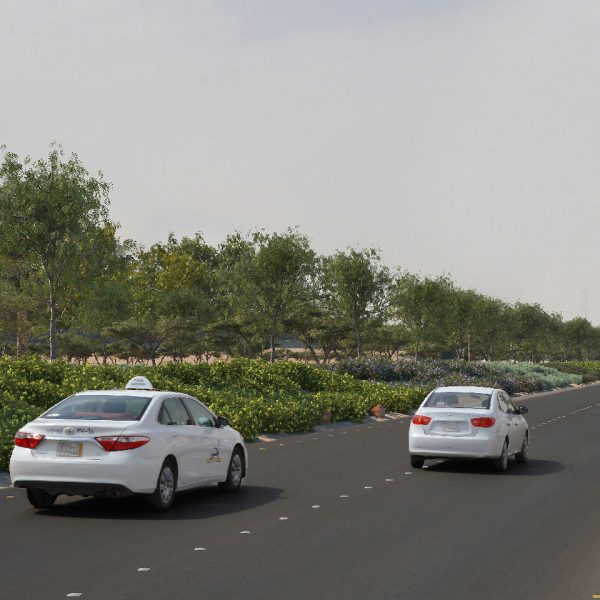 Riyadh Green’s afforestation works kicked off