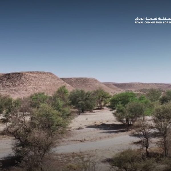 مجلس إدارة الهيئة الملكية لمدينة الرياض يعلن بدء أعمال التسوير وزراعة مليون شجرة في محمية طويق