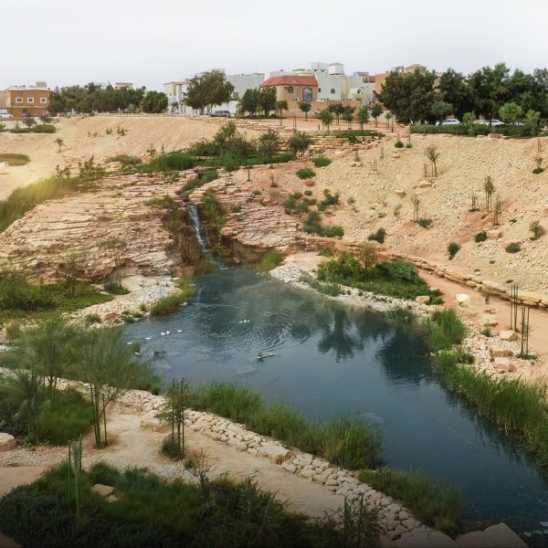 Green Riyadh Program Unveils the Opening of Ghudhwana: A Transformed Tributary of Wadi Hanifa Following Environmental Rehabilitation