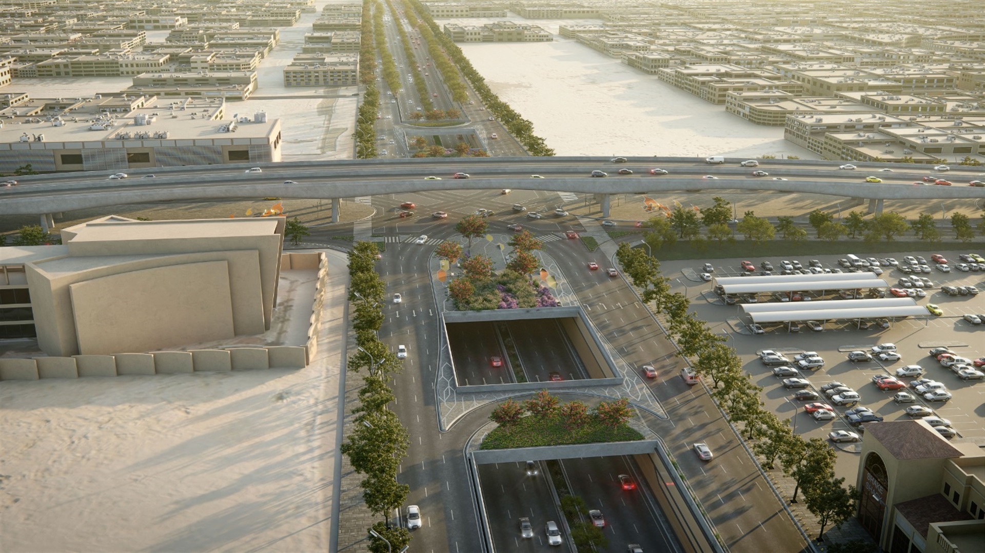 مشروع تطوير محور طريق الثمامة