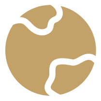 International and local organizations