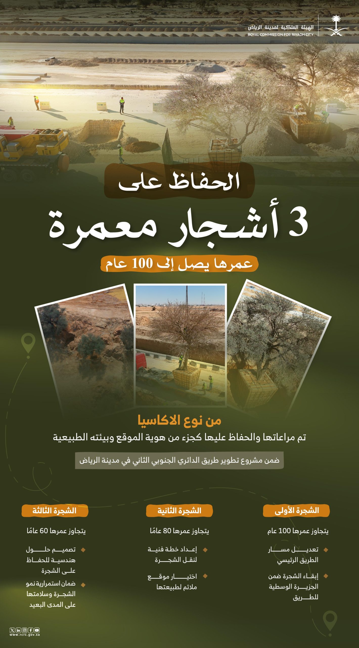 الهيئة الملكية تحافظ على ثلاث أشجار معمّرة ضمن مشروع تطوير الطريق الدائري الجنوبي الثاني